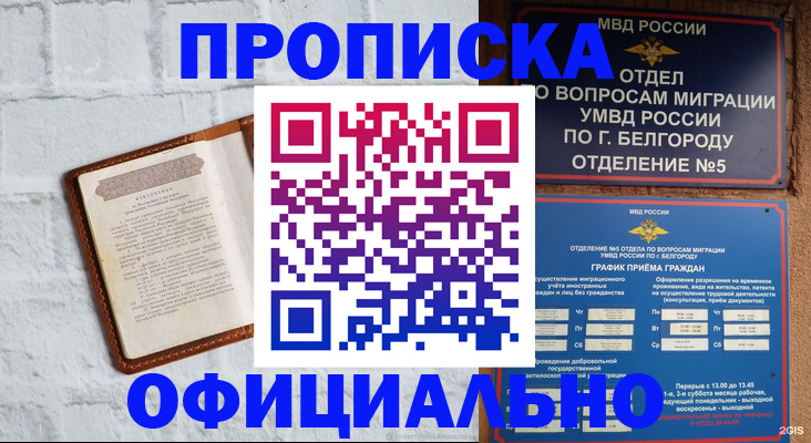 временная регистрация для школы в Электрогорске